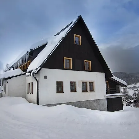 Slunecnice